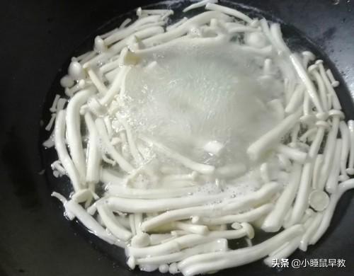 白玉菇豆腐汤的正宗做法,白玉菇肉片汤的做法(11)