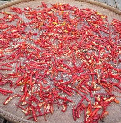 辣椒的腌制方法怎么腌制不变色,辣椒的正确腌制方法图片(2)