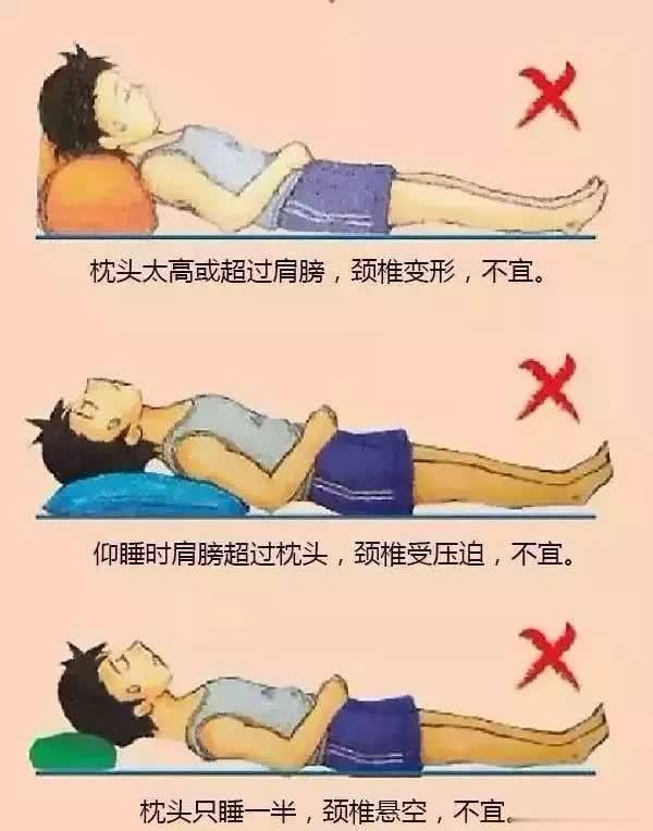 女贞子枕头能长期用吗,女贞子做枕头有什么副作用(4)