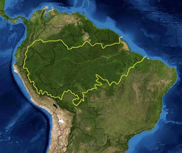 亚马逊在哪个国家地图,亚马逊离哪个国家比较近(2)