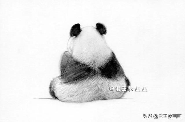 一步一步画熊猫,画动物100种(10)