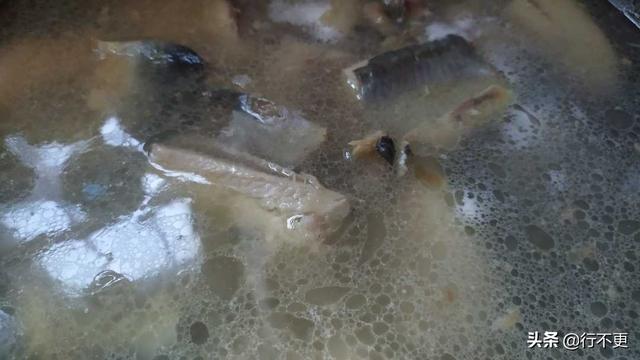 沙丁鱼最简单做法,沙丁鱼的正宗做法大全(3)