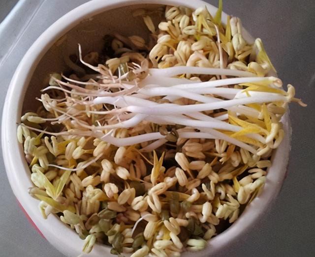 冬天生黄豆芽可以放在太阳下晒吗,冬天生黄豆芽最好的方法(2)