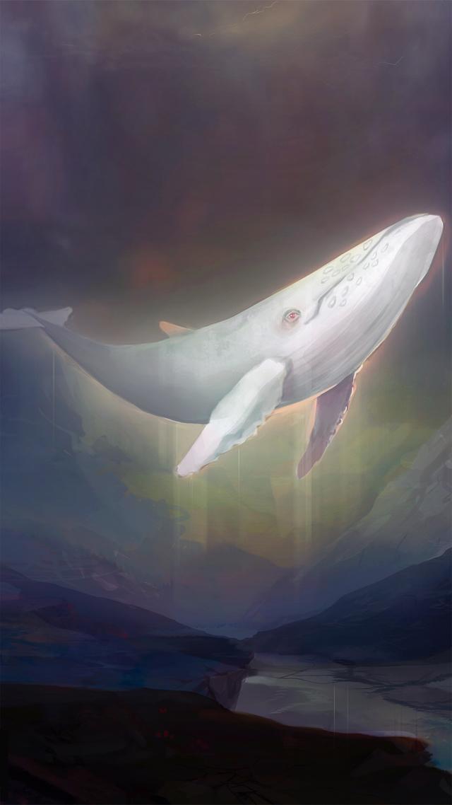 鲸鱼图片,鲸鱼图画(2)