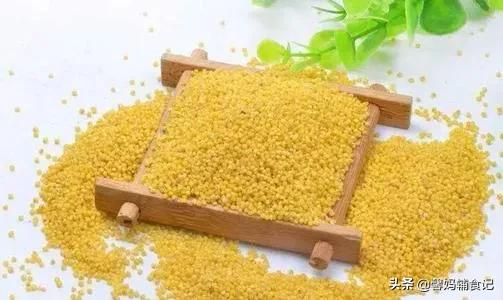 红枣小米泥做法大全,银耳小米粥的做法与功效(3)