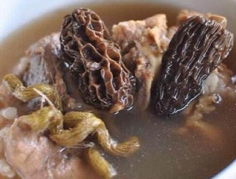 羊肚菌与什么一起炖汤最好,羊肚菌和什么一起煲汤最好喝(2)