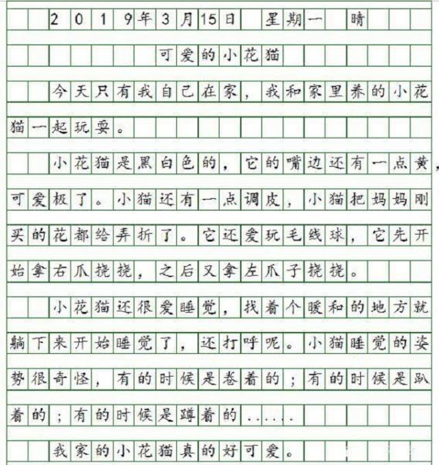 小学生日记格式正确写法,小学生日记范文格式(3)