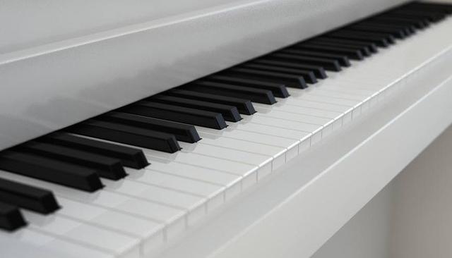 老人学钢琴最简单的方法及手法,老年学钢琴最简单的方法(1)