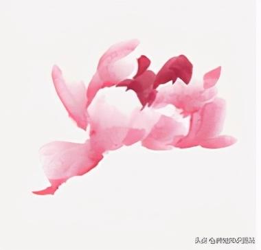最简单的画牡丹花步骤,牡丹花最简单的画(3)