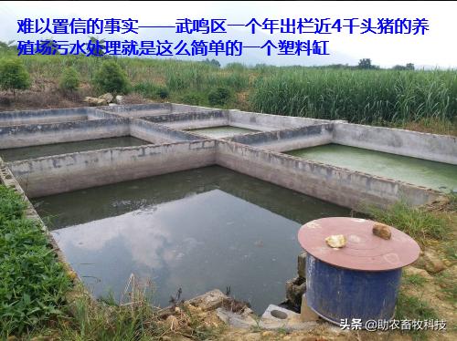 小型养猪场废水处理设施,小型养猪场污水处理达标设备(4)