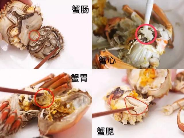 螃蟹不能与什么同食,螃蟹不能和哪些东西同吃(2)