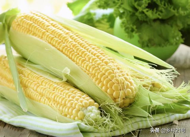 最好玉米复合肥,复合肥是白色的好还是灰色的好(1)