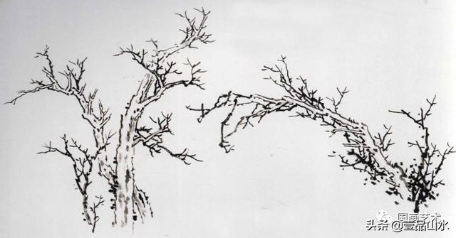 国画山水教程树的各种姿态,国画山水树的画法入门(4)