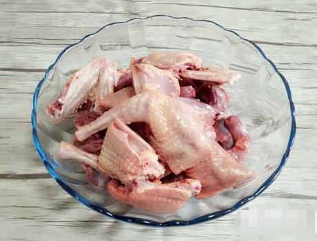 六岁儿童可以吃鸽子肉吗,儿童能吃鸽子肉吗(4)