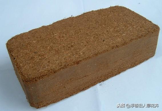 椰糠土和椰糠砖哪个好用,椰砖和免泡的椰糠土哪个好(2)