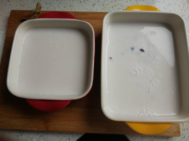 奶豆腐冰淇淋怎么做,奶豆腐雪糕的做法(4)