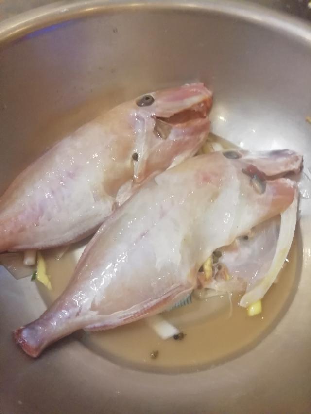 老鼠鱼怎么做最好吃,广西老鼠鱼多少钱一斤(2)