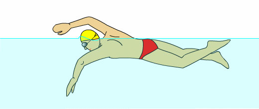 自由泳泳姿步骤,自由泳标准泳姿慢动作(1)