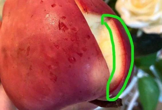 避免苹果去皮后氧化方法,切的苹果怎么才能防止氧化(3)