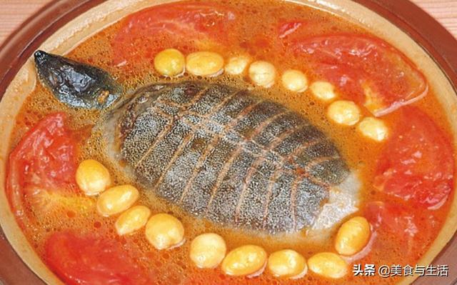 水鱼跟什么煲汤好,水鱼和什么煲汤最合适(1)