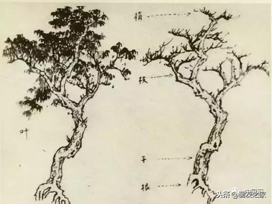 山水画树的技法,国画山水画树技法详解(3)