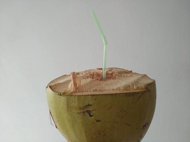 椰子叶是一串还是一簇的,椰子的叶子是什么形状(1)