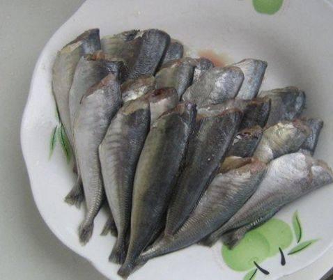 油焖沙丁鱼的正宗做法,家常炖沙丁鱼最正宗的做法(2)