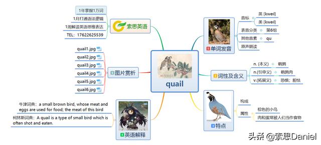 quail英语怎么读,音标48个口诀顺口溜(1)