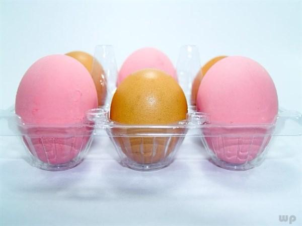 胆固醇高能吃鸡蛋吗,女性胆固醇高吃什么好(1)