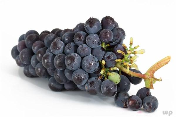 长期吃葡萄有什么好处和坏处,葡萄一天吃多少颗最好(2)