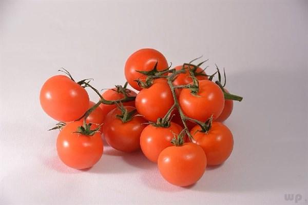 生吃番茄对男人的好处,男性最伤肾的三种蔬菜(1)