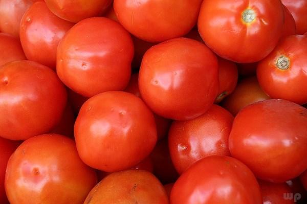 生吃番茄的十大好处,西红柿生吃好还是熟吃好(1)