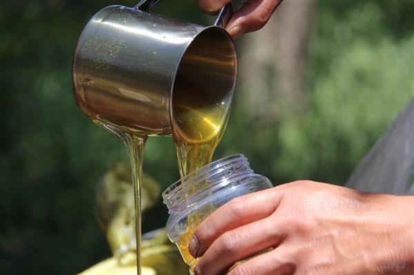 蜂蜜水有减肥功效呢,蜂蜜水减肥的四个禁忌(1)