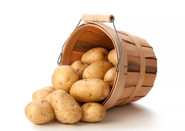 土豆种植高产秘诀,土豆种植技术怎么才能高产(3)