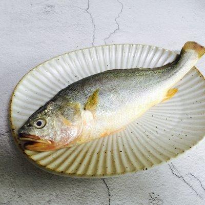黄鱼清蒸的做法,大黄鱼的烹饪方法(2)