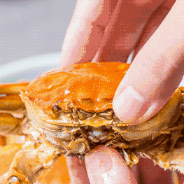 螃蟹怎么清洗图解,清洗螃蟹的方法图解(2)