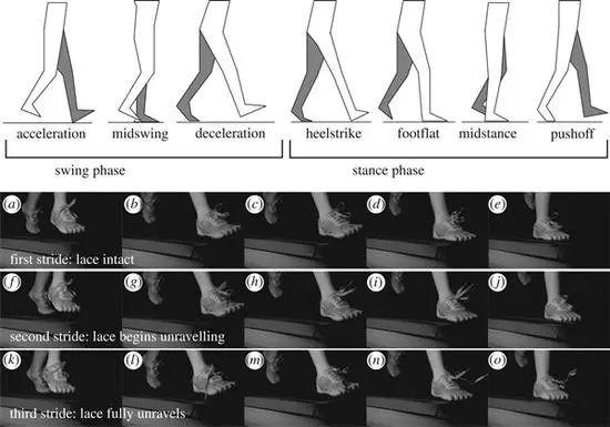运动员系鞋带方法,跑步系鞋带方法(4)