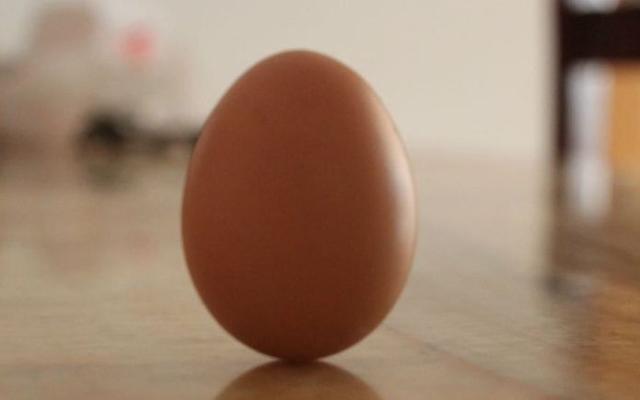 立春为什么要竖立鸡蛋,为什么立春鸡蛋可以竖起来(2)
