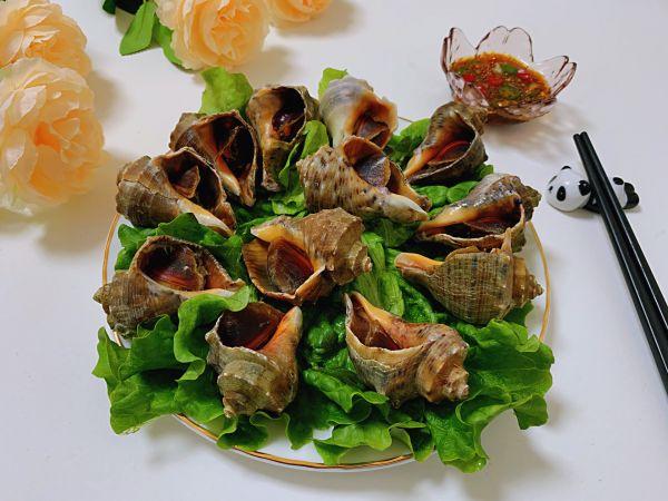 大海螺蒸多长时间能熟,海螺的正确蒸煮方法(1)