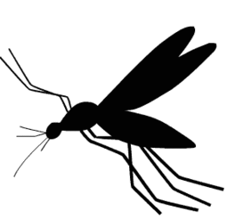 北方冬天室内有蚊子怎么办,冬天卧室蚊子怎么解决(1)
