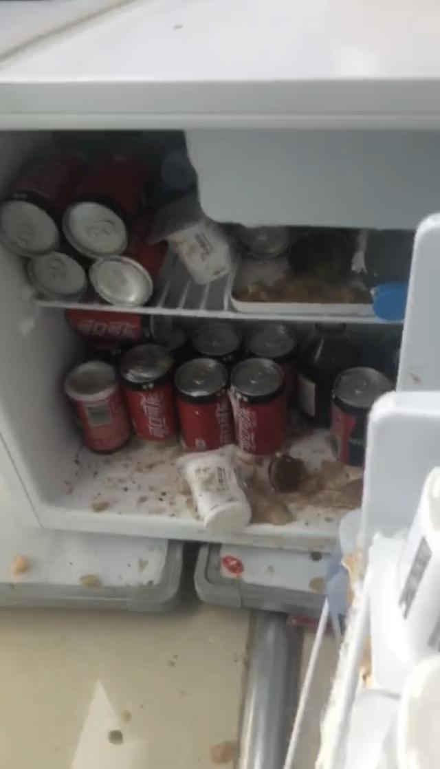 瓶装可乐不能放在冰箱里面吗,罐装可乐放冰箱冷藏可以吗(1)