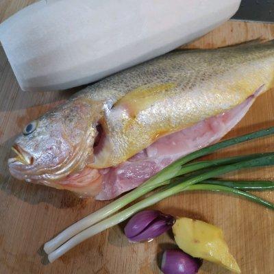 炖鱼能和白萝卜一起炖不,炖鱼里面能放白萝卜吗(2)