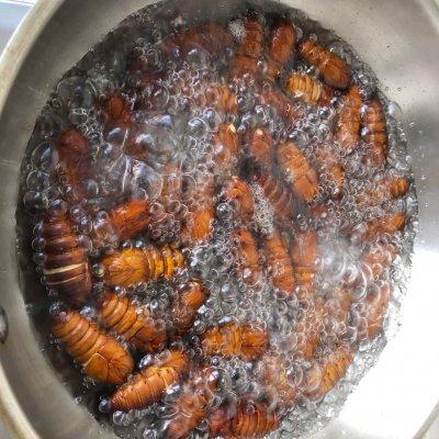 怎样做蚕蛹才能香酥又脆,金丝蚕蛹怎么做又脆又香(3)