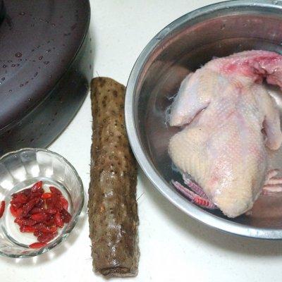 白鸽和什么煲汤最好,适宜儿童喝的鸽子汤(2)