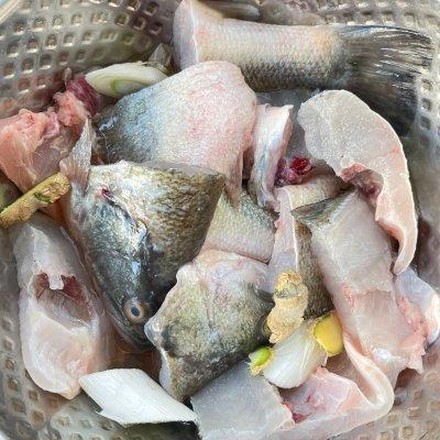 凯里酸汤鱼片的正宗做法,贵州凯里酸汤鱼的酸是怎么做的(2)