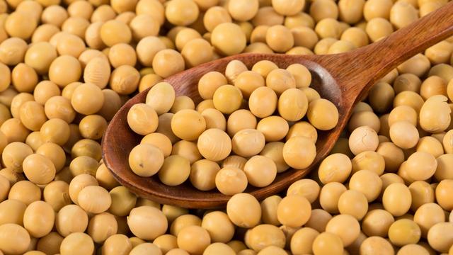 生黄豆做肥料最佳最简单方法,坏的黄豆能做肥料吗(2)