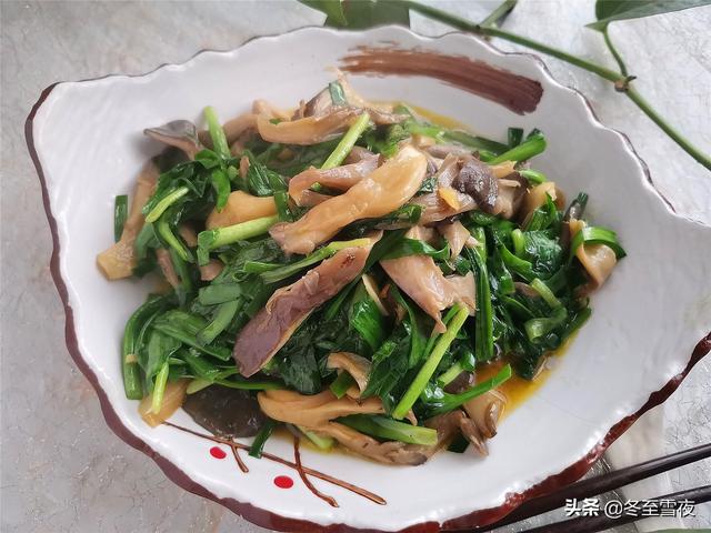白玉菇15种家常做法,15种清淡汤的做法大全(4)