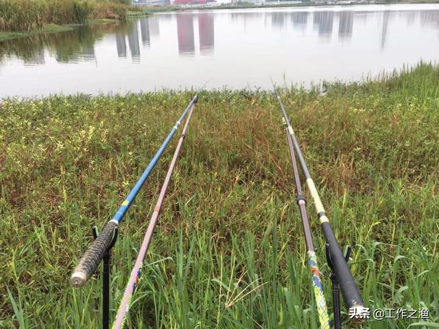 雨后天凉适合钓鱼吗,雨后的第二天适合钓鱼吗(3)