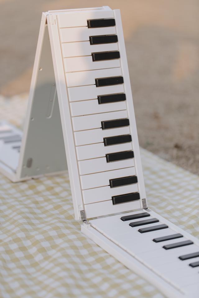 手卷钢琴和折叠钢琴哪个好,手卷钢琴值不值得买(4)