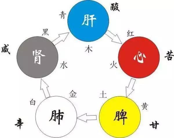 五脏与五行的相生具体讲解,五行学说与中医五脏的关系图(4)